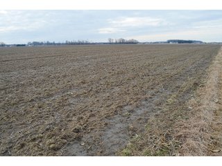 Property photo 45 - 173 +/- Acres Offered in 3 Tracts - Ohio Farmland